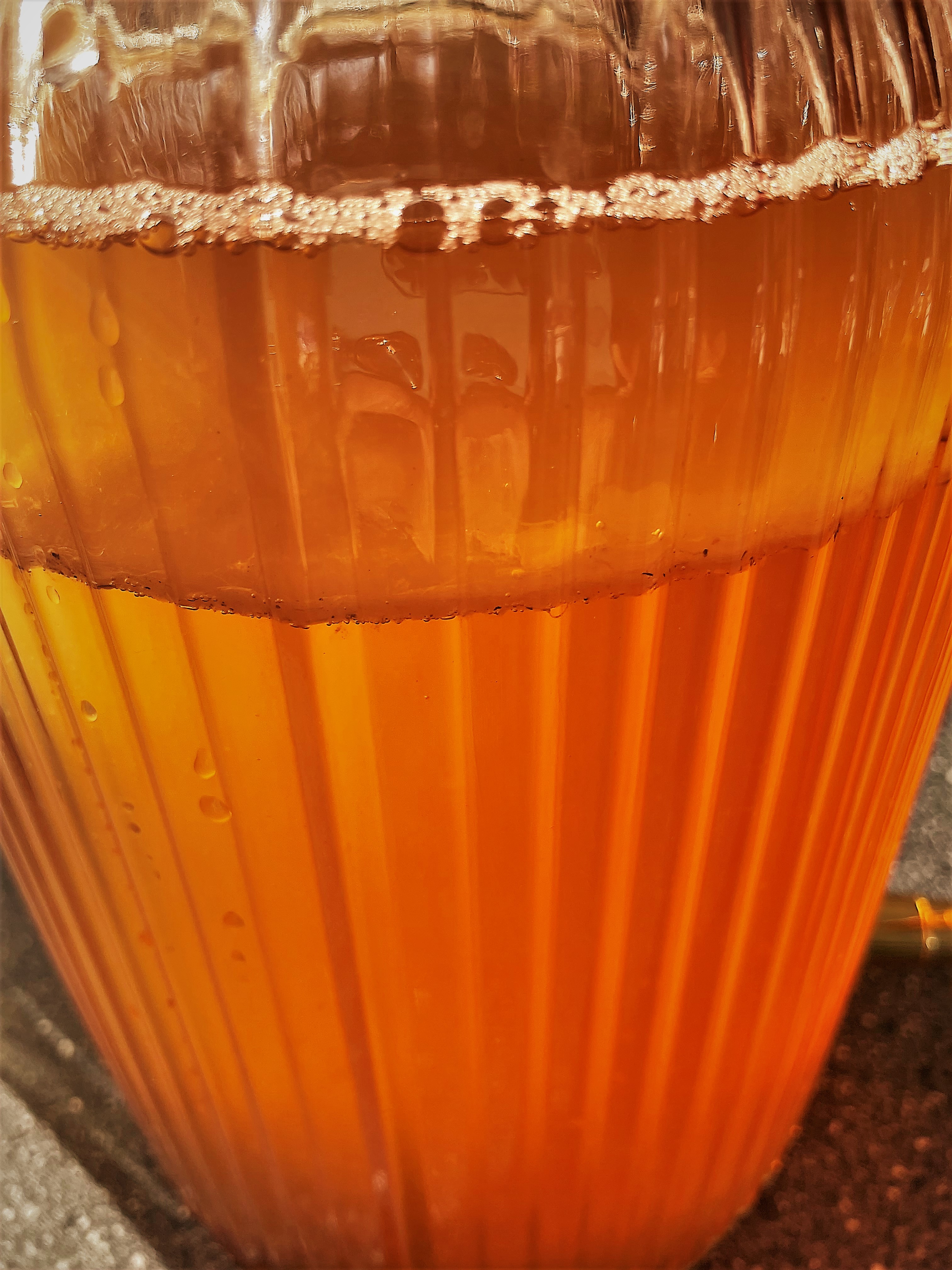 Überbrühten Tee abkühlen lassen auf unter 37 Grad Celsius und in den Glasbehälter zum Kombucha-Pilz giessen. 14-20 Tage zugedeckt rasten lassen.